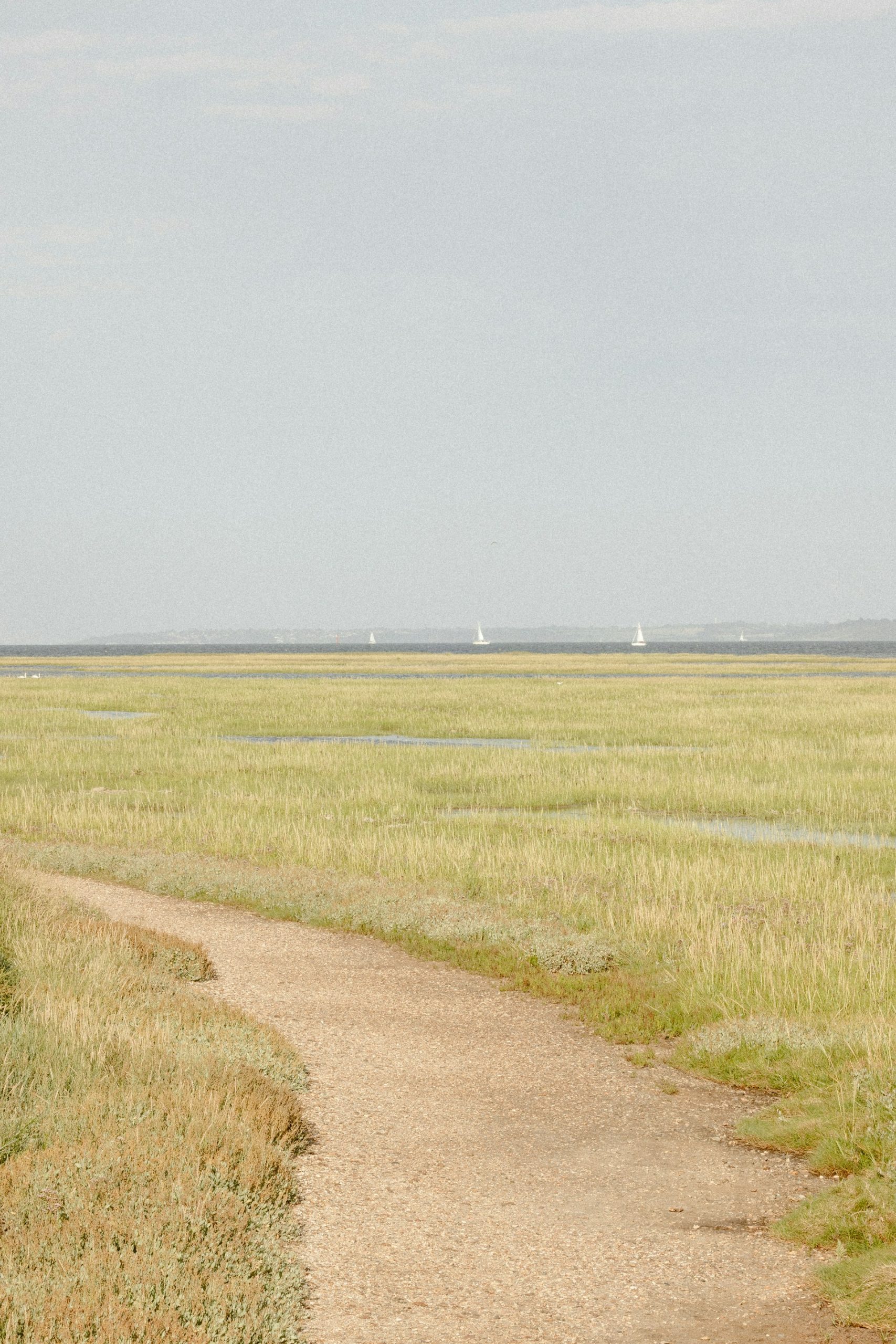 The Battle Against the Tide: The History of the Gwent Levels’ Sea Walls
