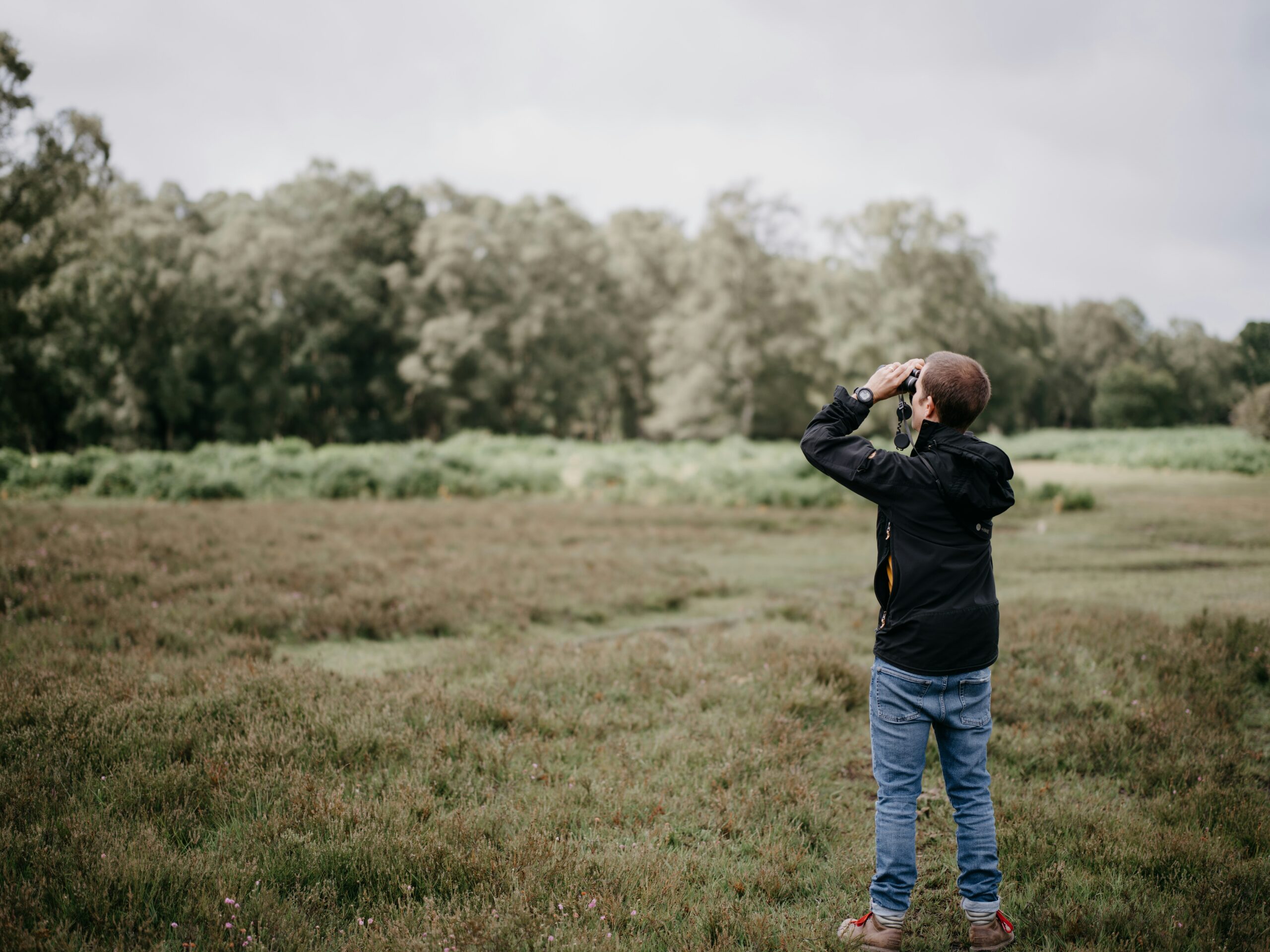 Undy & the Gwent Levels: A Walk Through History & Nature