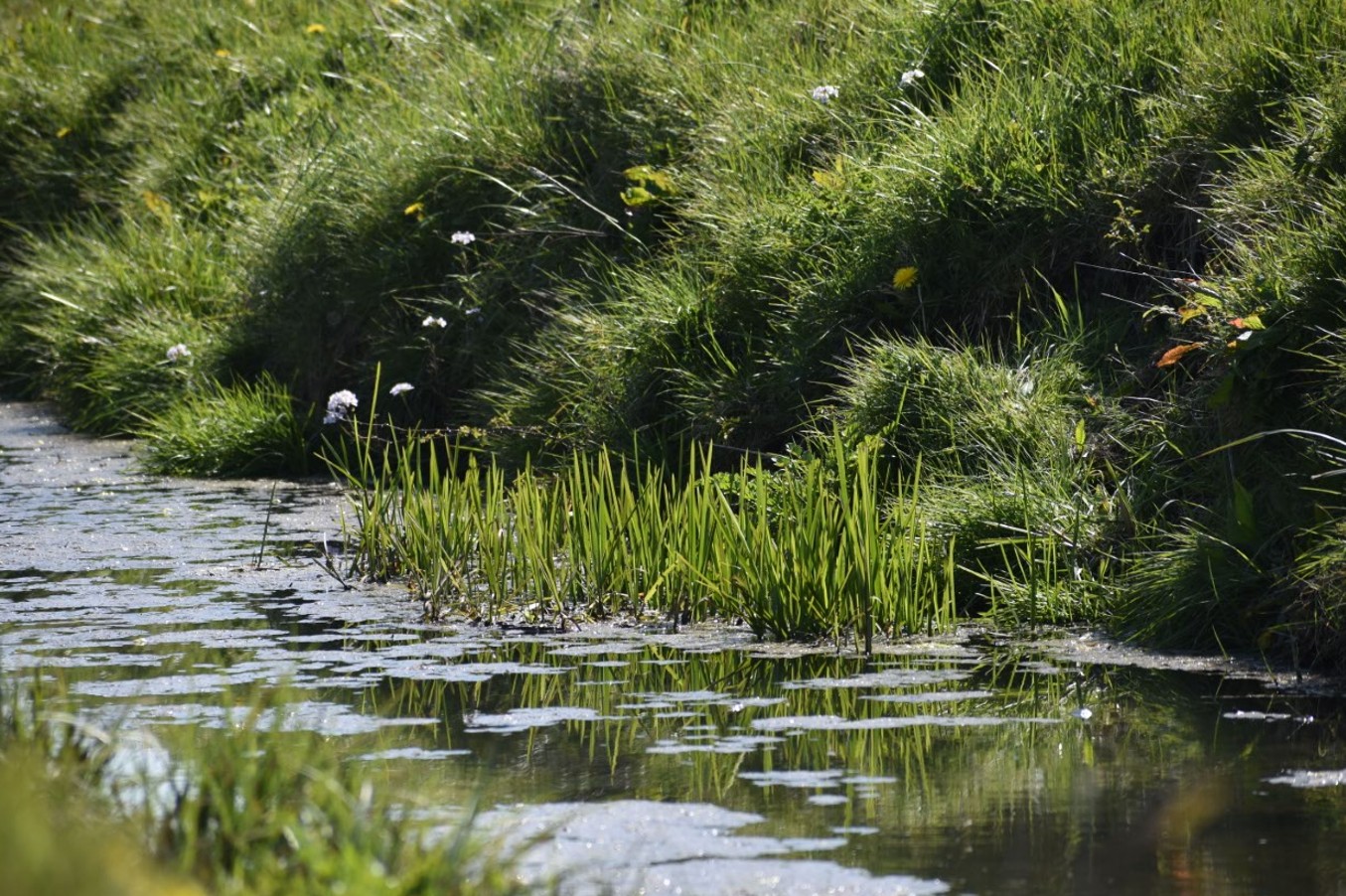 Ghosts, Myths & Ancient Stories – The Folklore of the Gwent Levels